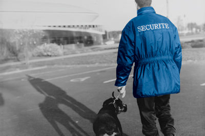 Maitre chien ronde intervention surveillance à Le Mans 72